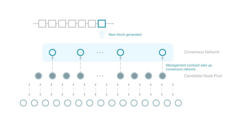 VBFT Network